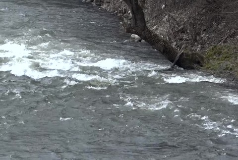 [multi] utopenec 4098