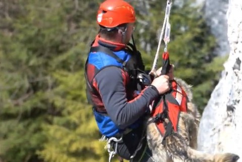 Záchranári, psy a technika v teréne