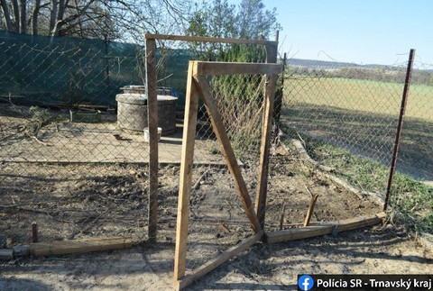 Krádež, ktorá sa len tak nevidí: Muži mali dlhé prsty na zvieratá, ukradnuté prasa posadili na miesto spolujazdca