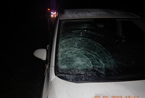 Dievčina neprežila zrážku