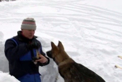 Psí záchranári na horách 