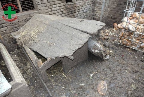 Chovná stanica v Poľsku