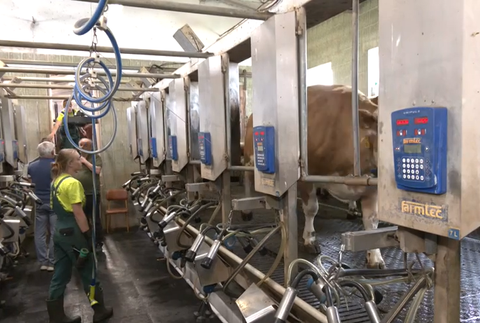 Screenshot 2024-05-19 092226