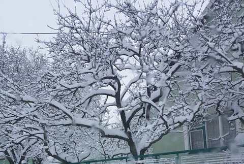 Snehová situácia na Myjave 