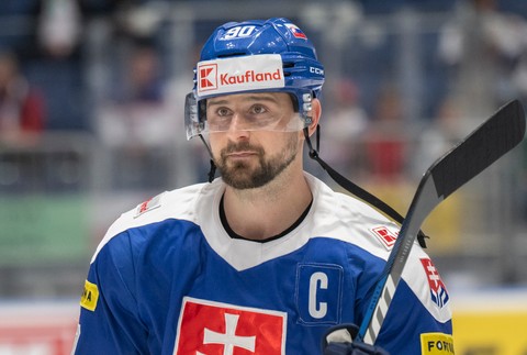 útočník Tomáš Tatar (1)