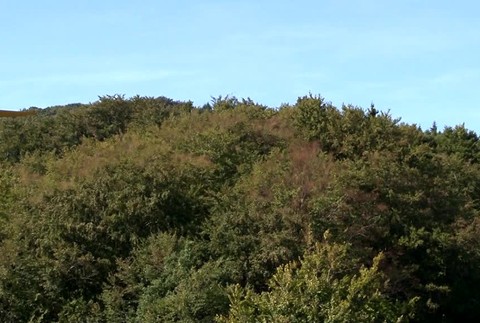 Padnuty paraglajdista197