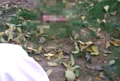 Masívny úhyn rýb v okolí Nových Zámkov. Dôvodov môže byť viac