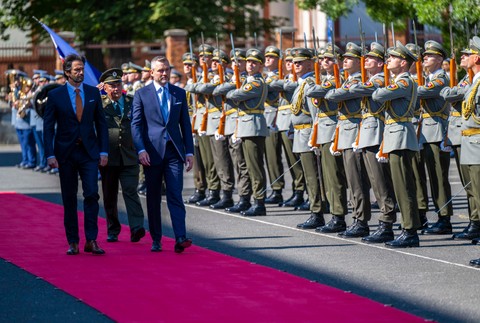 20240724PELLE_MOSR059635