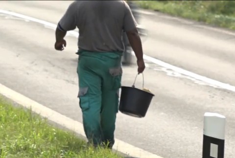 Čučoriedky, brusnice či huby. Nelegálnym predajcom pri cestách sa darí