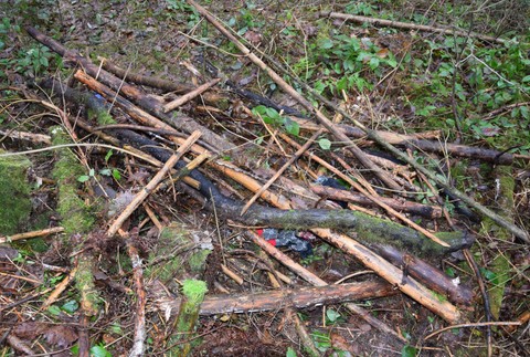 Otrasný nález v lesoch nad Zvolenom: Vyšetrovateľ vzniesol obvinenie pre zločin vraždy