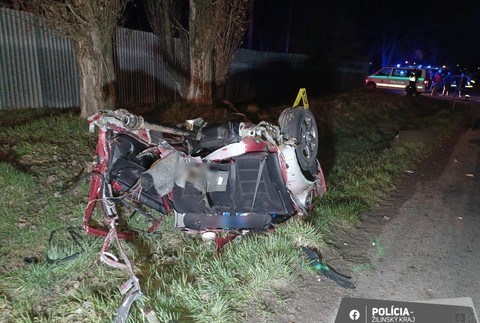 339439016_703332738210059_3089461515651843181_n