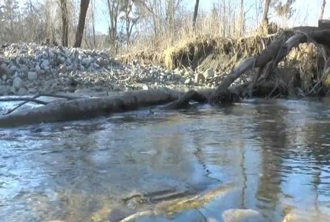 Zabudnite na medveďa či kamzíka. Novým maskotom Tatier je bobor