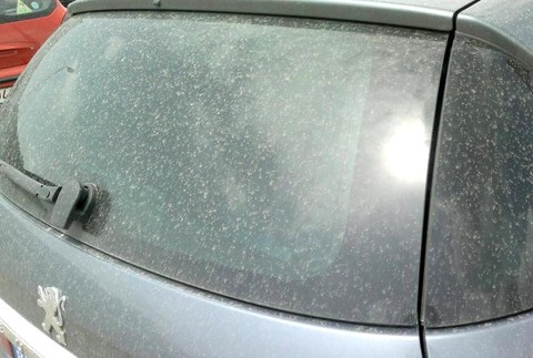 východné Slovensko dážď piesok 2