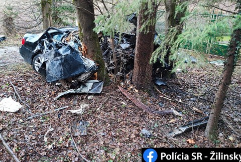 322246440_899359688088373_2603269338066252941_n