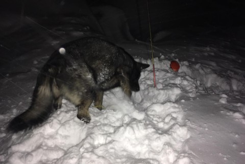 Lavína Vysoké Tatry
