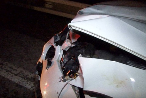 Jelenica sa vynorila z tmy. Mladý pár zrážke nedokázal zabrániť