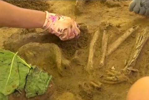 Vzácny objav. Farmár počas zberu zemiakov natrafil na pohrebisko staršie ako pyramídy