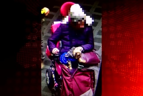 Polícia obvinila ženu na invalidnom vozíku z krádeže. Hrozí jej väzenie