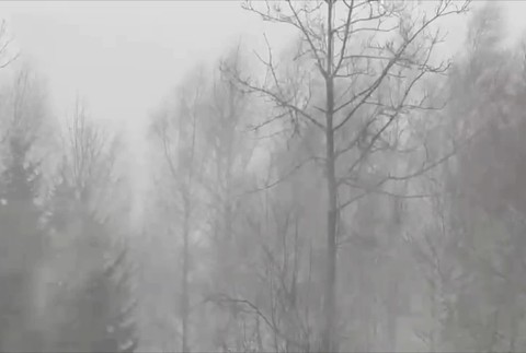 [multi] vietor 17.1. 14165