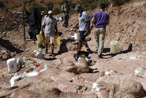 V Argentíne objavili najväčšieho dinosaura 3