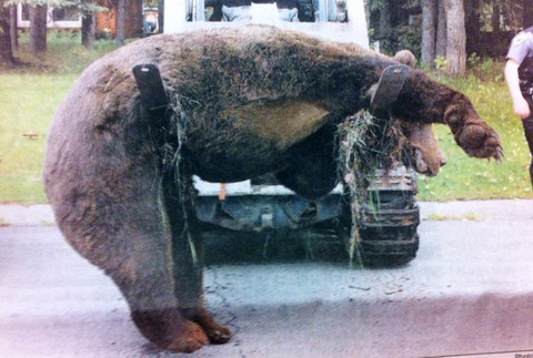 Slovák na Aljaške: Ak na veľkú potrebu, tak len so zbraňou a lopatou