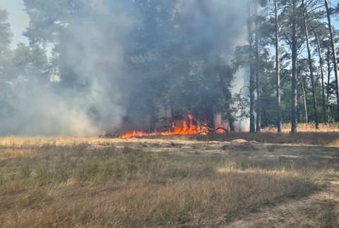 WhatsApp Image 2024-09-03 at 16.57.22