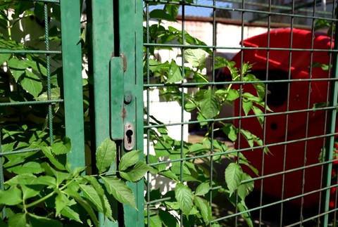 [multi] Sídliskový "vložkový fantóm" 1890