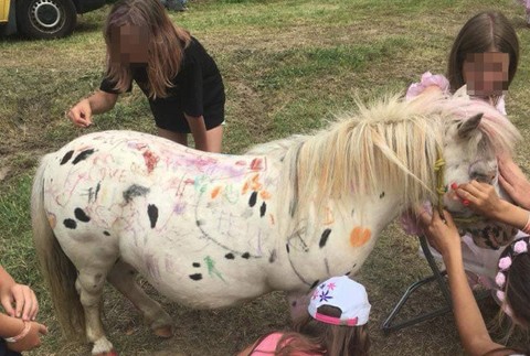 Krutá hra detí. Poníka na festivale pomaľovali 
