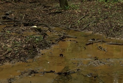 [multi] Z areálu chemičky v Strážskom odobrali vzorky, zisťuje rozsah zamorenia pôdy a spodných vôd 167