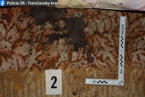 Beštiálny čin pri Prievidzi