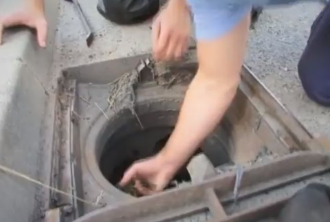 Záchrana kačiek v Banskej Bystrici 