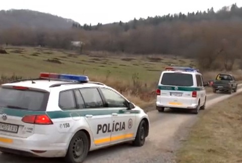 V lese za dedinou našli zastrelenú zubricu. Páchateľovi hrozí väzenie