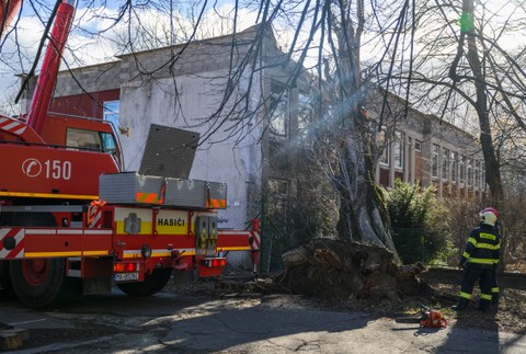 Bratislava škody strom vietor vichrica (2)
