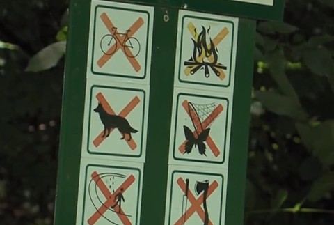 Letné dni lákajú jazdcov na štvorkolkách. Za jazdu v chránenej oblasti môžu draho zaplatiť