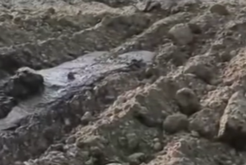 Vyvierajúca krv zo zeme 2