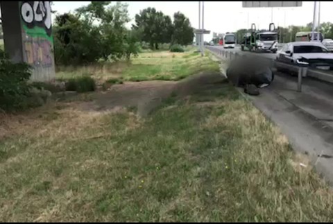 [multi] Naháňačka pri bratislavskom obchvate. Policajti zadržali skupiny mladých migrantov 7224