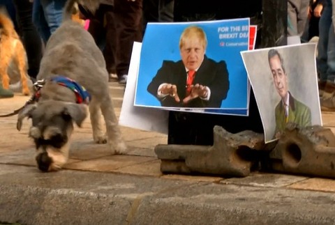 Do londýnskych ulíc vyšli aj psy. Štekali za šialenstvo brexitu