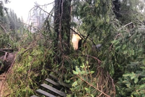 Mimoriadny stav na severe Slovenska. Pre silný vietor uzatvárali cesty