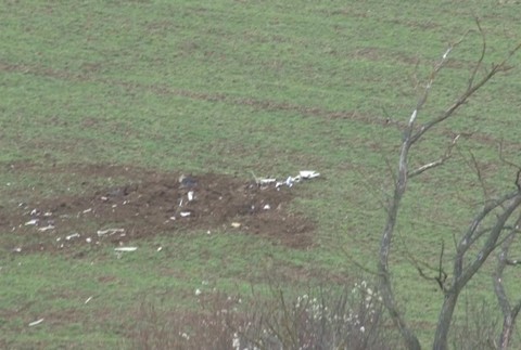 [multi] 041824GVJ 52