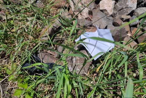 Tragická zrážka vlaku v Bratislave