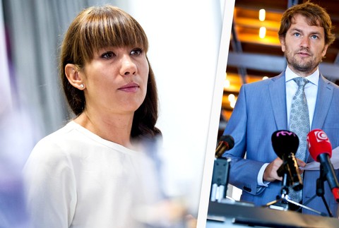 Lucia Nicholsonová Igor Matovič koláž