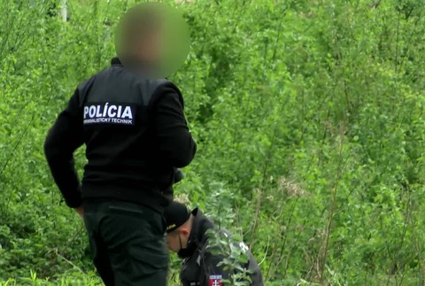 [multi] Náročné zisťovanie totožnosti 4520