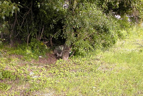 Bratislava Panónska cesta bezdomovci skrýša tvojenoviny 9