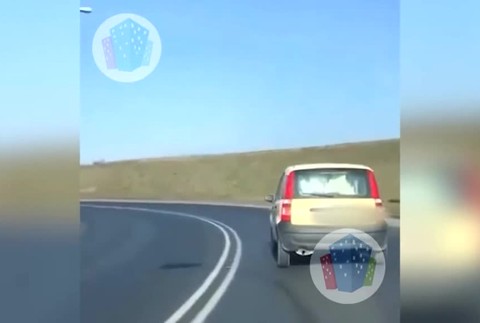 [multi] Keď sa malé auto tvári ako nákladiak, môžu v ňom prevážať aj kravu 3592