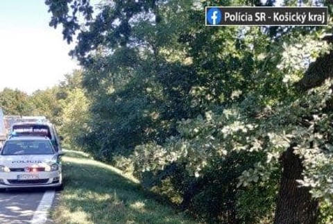 Tragická nehoda pri Michalovciach: Muž neprežil náraz do stromu