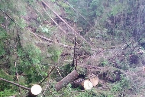 FOTO: Na auto s 5-člennou rodinou sa zrútili stromy. Z auta ich museli vyslobodiť hasiči