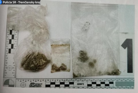 Nadrogovaný vodič tancoval v lese