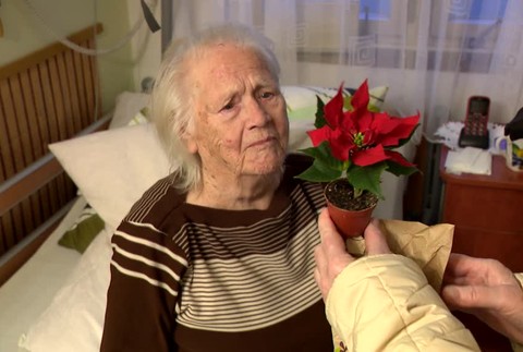 [multi] Vianočný plán pre domovy seniorov 225