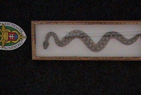 Exemplár colníci zabavenie had