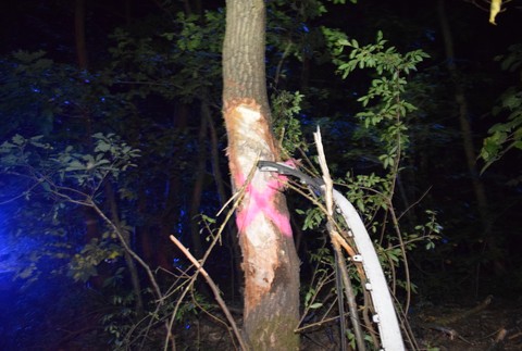 Dopravná nehoda rozvozára pizze